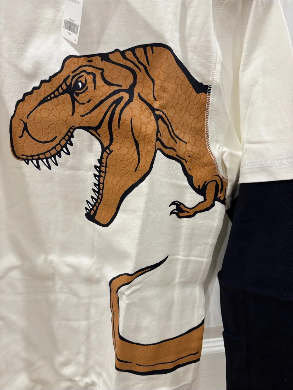 Gymboree White Long Sleeve Tee with Layered Look Sleeves and Dinosaur Graphic